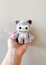 Load image into Gallery viewer, Opossum Preorder