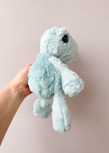 Load image into Gallery viewer, Turtle Preorder