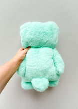 Load image into Gallery viewer, Hope Bear