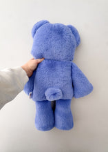 Load image into Gallery viewer, Grumpy Bear Preorder