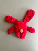 Load image into Gallery viewer, Watermelon red tie dye ears bunny