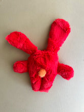 Load image into Gallery viewer, Watermelon red bunny