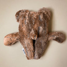 Load image into Gallery viewer, Barry the Bear