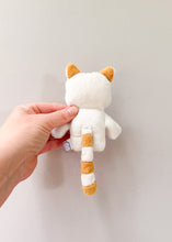 Load image into Gallery viewer, Pocket Blonde Raccoon
