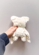 Load image into Gallery viewer, Roger
