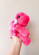 Load image into Gallery viewer, Sorbet Turtle Medium
