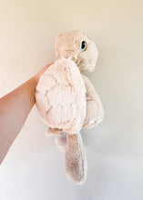 Load image into Gallery viewer, Spoke Turtle Large
