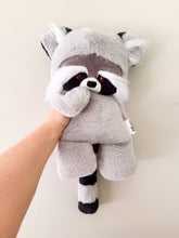 Load image into Gallery viewer, Medium Raccoon
