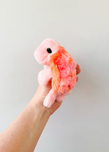 Load image into Gallery viewer, Kiki Turtle XS
