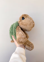 Load image into Gallery viewer, Turtle Preorder
