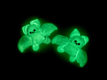 Load image into Gallery viewer, Albus - GLOWS!
