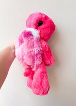 Load image into Gallery viewer, Sorbet Turtle Medium
