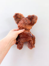 Load image into Gallery viewer, Clive
