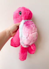 Load image into Gallery viewer, Sorbet Turtle Medium
