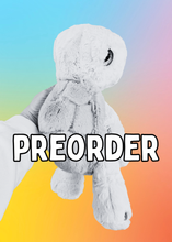 Load image into Gallery viewer, Turtle Preorder

