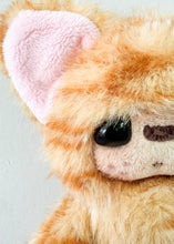 Load image into Gallery viewer, XXS Orange Tabby
