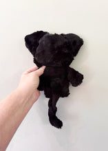 Load image into Gallery viewer, XS Cat
