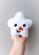 Load image into Gallery viewer, Frosty Star
