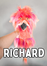 Load image into Gallery viewer, Richard Firey
