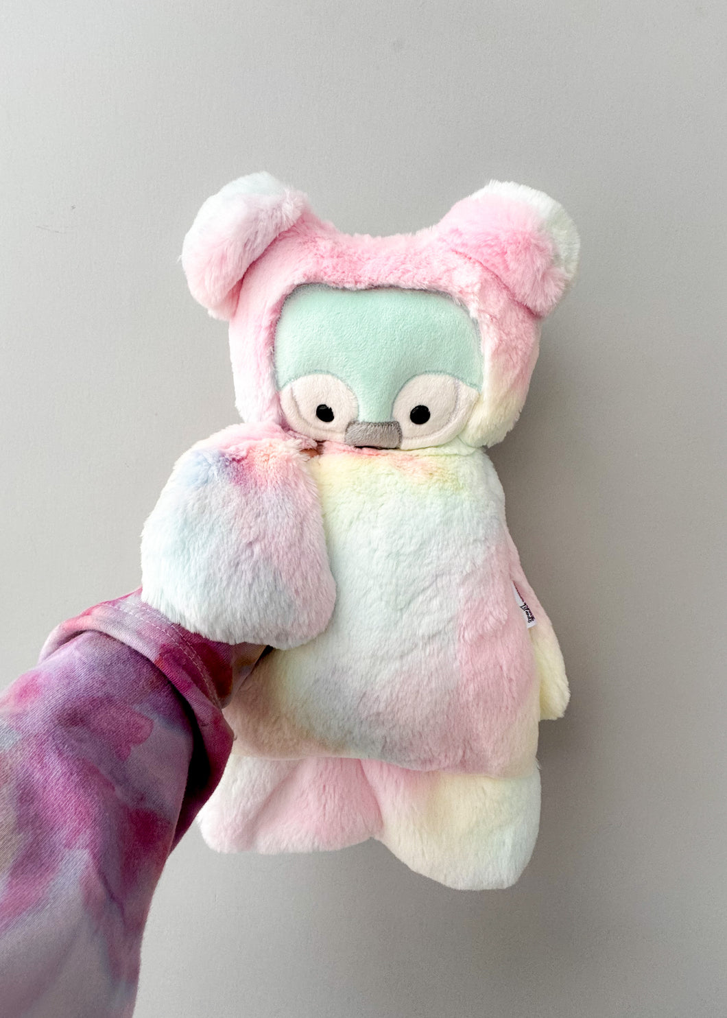 Pastel Rainbow Bear