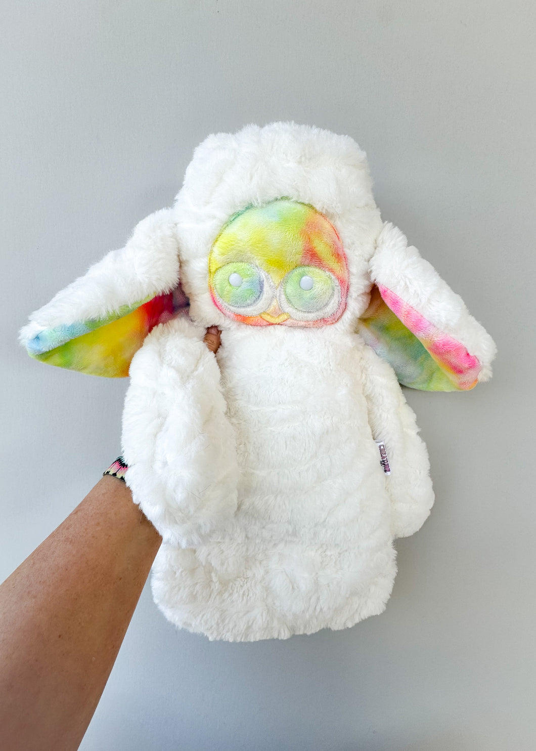 Rainbow Lamb