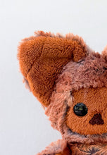 Load image into Gallery viewer, Clive
