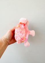 Load image into Gallery viewer, Kiki Turtle XS
