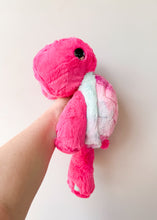 Load image into Gallery viewer, Sorbet Turtle Medium
