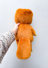 Load image into Gallery viewer, Platypus
