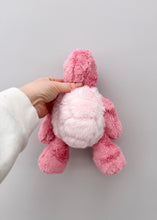 Load image into Gallery viewer, Trial Small Turtle
