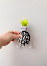 Load image into Gallery viewer, Beetlejuice Turtle XS
