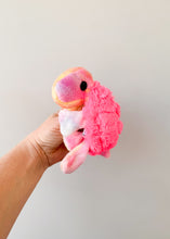 Load image into Gallery viewer, Brightside Turtle XS
