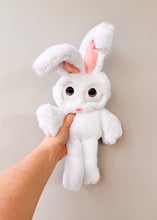 Load image into Gallery viewer, Bunny tester
